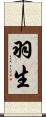 羽生 Scroll