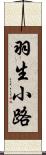 羽生小路 Scroll