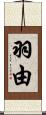 羽由 Scroll