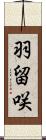 羽留咲 Scroll