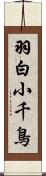 羽白小千鳥 Scroll