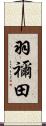 羽禰田 Scroll