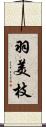羽美枝 Scroll