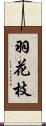 羽花枝 Scroll