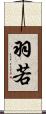 羽若 Scroll
