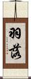 羽落 Scroll