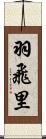 羽飛里 Scroll