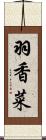 羽香菜 Scroll