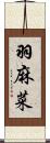 羽麻菜 Scroll