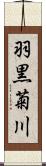 羽黒菊川 Scroll