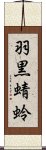 羽黒蜻蛉 Scroll