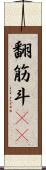 翻筋斗(rK) Scroll