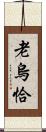 老烏恰 Scroll