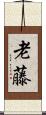 老藤 Scroll