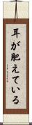 耳が肥えている Scroll
