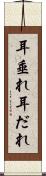 耳垂れ Scroll