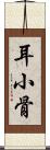 耳小骨 Scroll