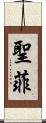 聖菲 Scroll