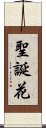 聖誕花 Scroll