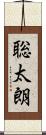 聡太朗 Scroll