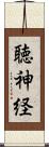 聴神経 Scroll