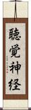 聴覚神経 Scroll