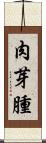 肉芽腫 Scroll