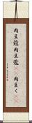 肉豆蒄 Scroll