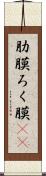肋膜 Scroll