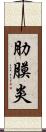 肋膜炎 Scroll