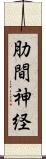 肋間神経 Scroll