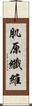 肌原纖維 Scroll