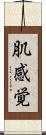 肌感覚 Scroll