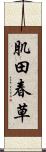 肌田春草 Scroll