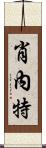 Shonet Scroll