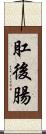 肛後腸 Scroll