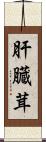 肝臓茸 Scroll