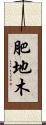 肥地木 Scroll