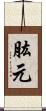 肱元 Scroll