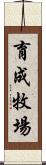 育成牧場 Scroll