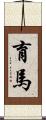 育馬 Scroll