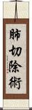 肺切除術 Scroll