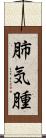 肺気腫 Scroll