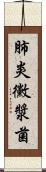 肺炎黴漿菌 Scroll