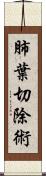 肺葉切除術 Scroll