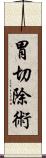 胃切除術 Scroll