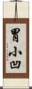 胃小凹 Scroll
