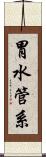 胃水管系 Scroll