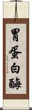 胃蛋白酶 Scroll