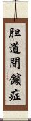 胆道閉鎖症 Scroll